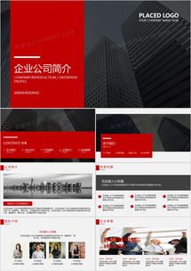歐美風(fēng)企業(yè)介紹PPT模板 在熊貓辦公一鍵獲取專(zhuān)業(yè)應(yīng)用軟件服務(wù)公司簡(jiǎn)介方案